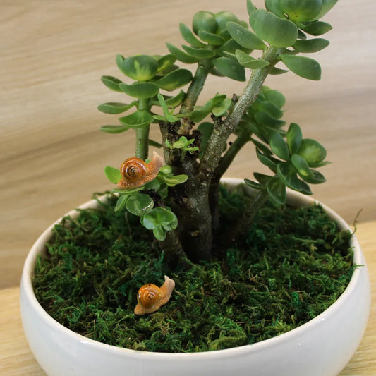 Dupla de Caracoles Mini Vintage 🐌✨ - Decoración Mágica para Jardines y Estantes