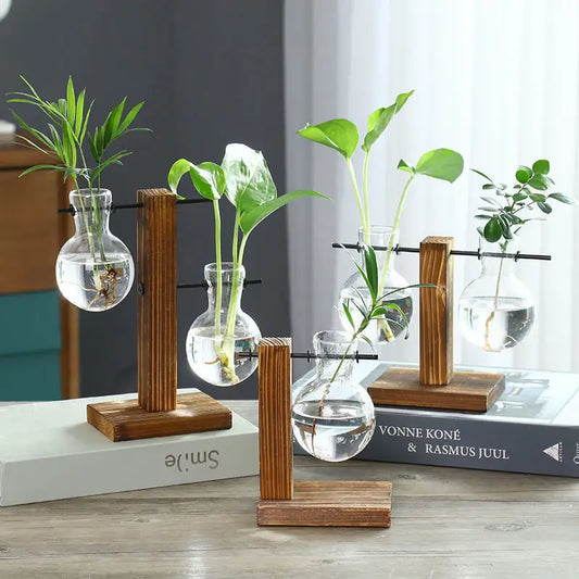 Jarrón Hidropónico Retro con Marco de Madera 🌿 - Para Hiedra y Plantas de Interior